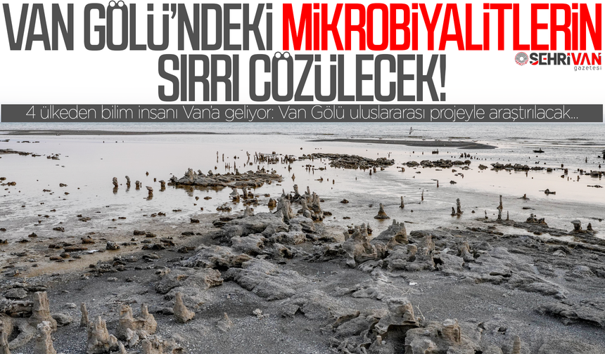 Van Gölü’nün derinliklerindeki sır çözülecek: 4 ülkeden bilim insanı Van’a geliyor!