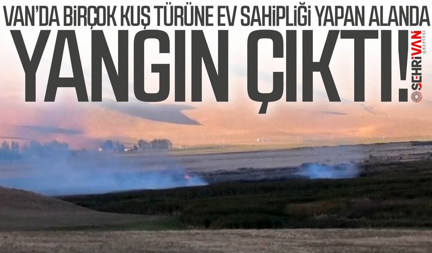 Van’da birçok kuş türüne ev sahipliği yapan alanda yangın çıktı!