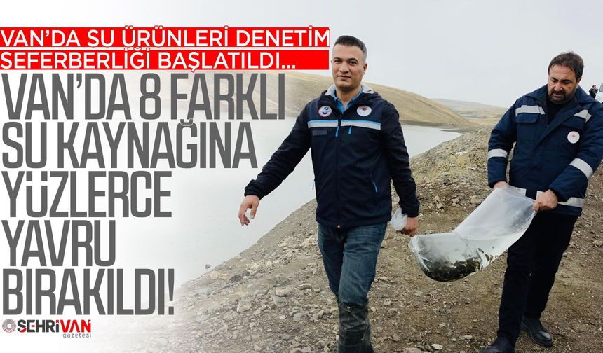 Van’da 8 farklı su kaynağına yüzlerce yavru bırakıldı!
