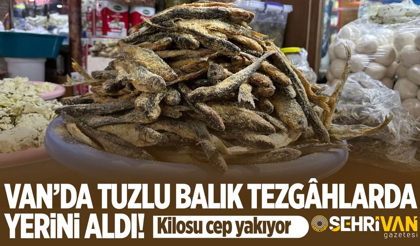 Van’da tuzlu balık tezgâhlarda yerini aldı! Kilosu cep yakıyor