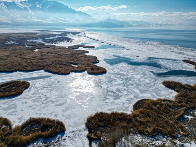 VAN'IN KUŞ CENNETİ DİLKAYA SAZLIĞI BUZ TUTTU