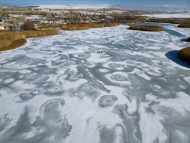 VAN'IN KUŞ CENNETİ DİLKAYA SAZLIĞI BUZ TUTTU