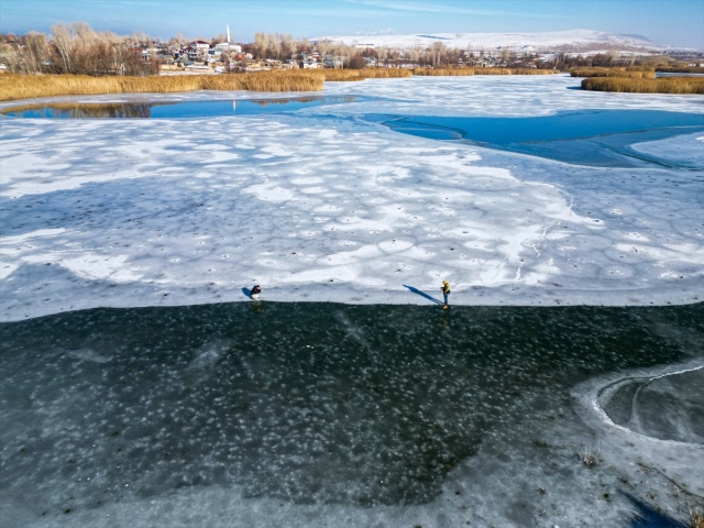 VAN'IN KUŞ CENNETİ DİLKAYA SAZLIĞI BUZ TUTTU
