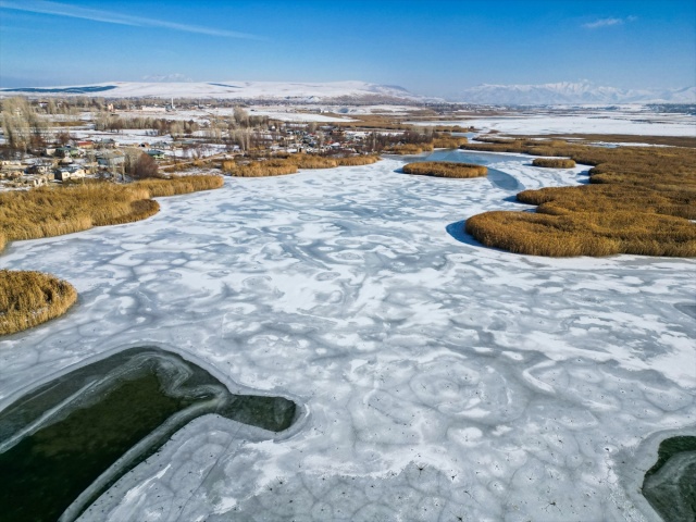 VAN'IN KUŞ CENNETİ DİLKAYA SAZLIĞI BUZ TUTTU