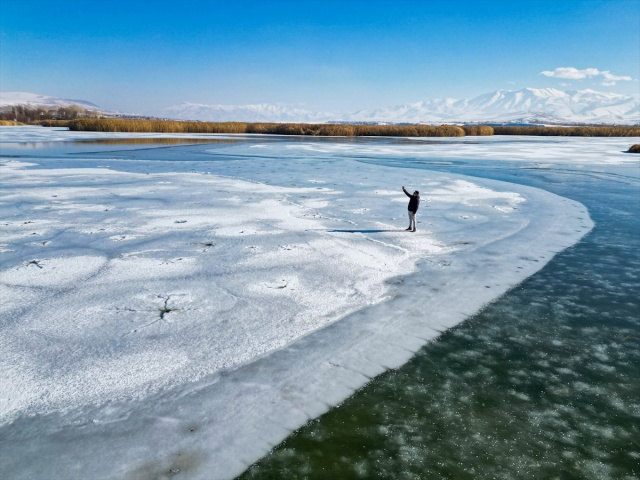 VAN'IN KUŞ CENNETİ DİLKAYA SAZLIĞI BUZ TUTTU