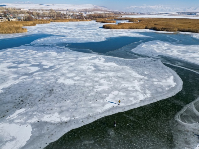 VAN'IN KUŞ CENNETİ DİLKAYA SAZLIĞI BUZ TUTTU