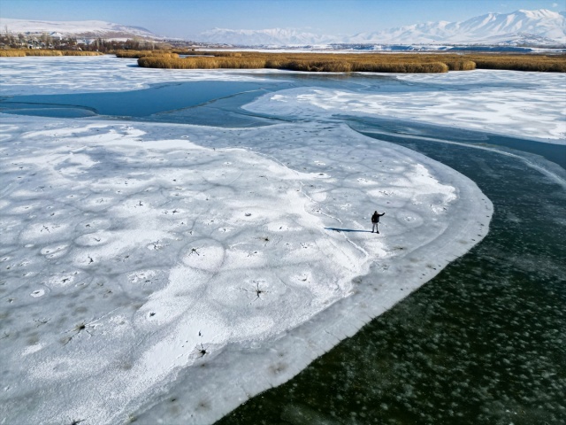 VAN'IN KUŞ CENNETİ DİLKAYA SAZLIĞI BUZ TUTTU