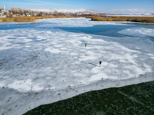 VAN'IN KUŞ CENNETİ DİLKAYA SAZLIĞI BUZ TUTTU