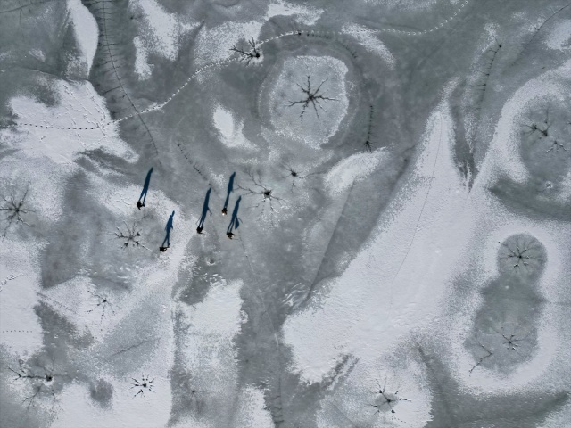 VAN'IN KUŞ CENNETİ DİLKAYA SAZLIĞI BUZ TUTTU