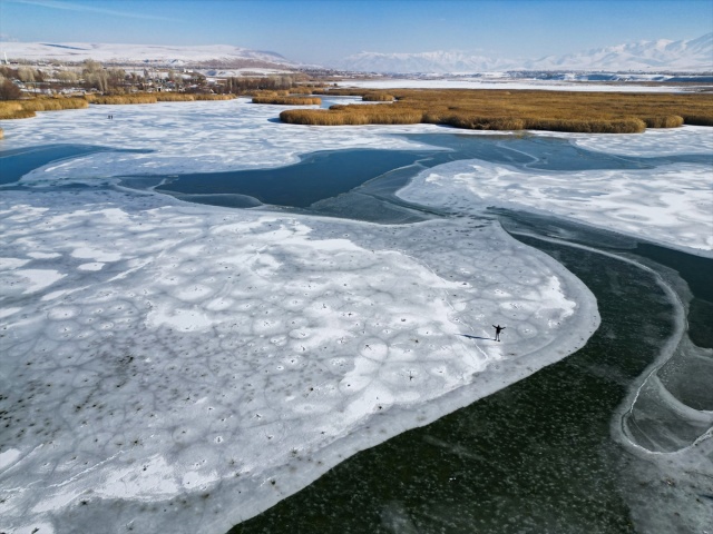 VAN'IN KUŞ CENNETİ DİLKAYA SAZLIĞI BUZ TUTTU