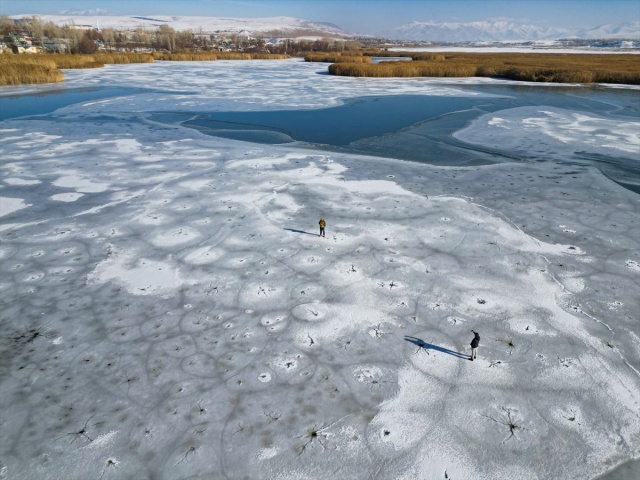 VAN'IN KUŞ CENNETİ DİLKAYA SAZLIĞI BUZ TUTTU