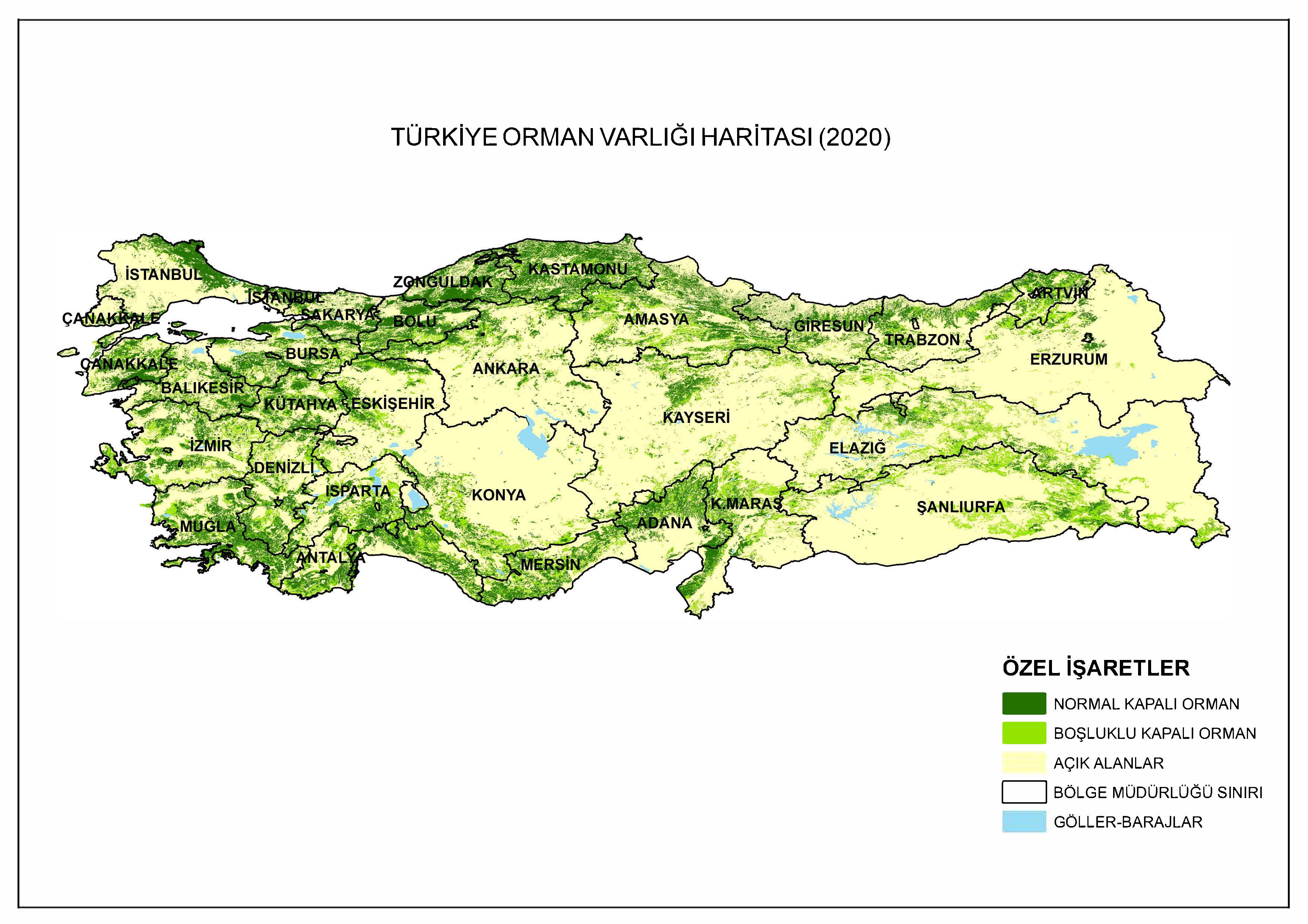 2020 Türkiye Orman Varlığı Haritası
