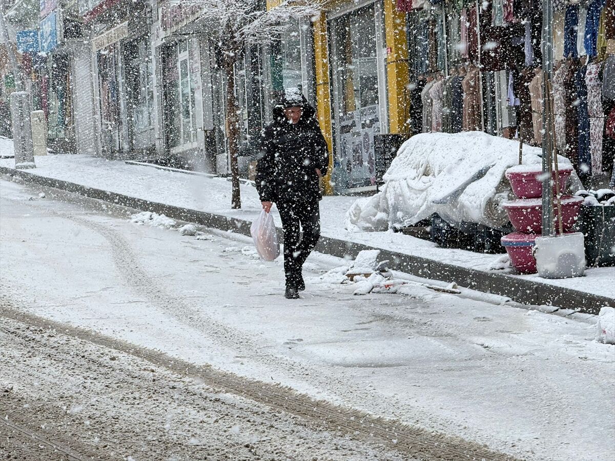 Van'ın Başkale ilçesinde kar etkili oldu