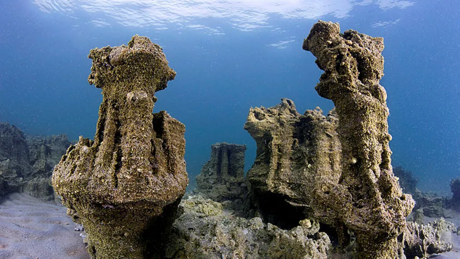 Dünya Van Gölü’nü konuşacak: Adım adım Guinness rekoruna koşuyor!