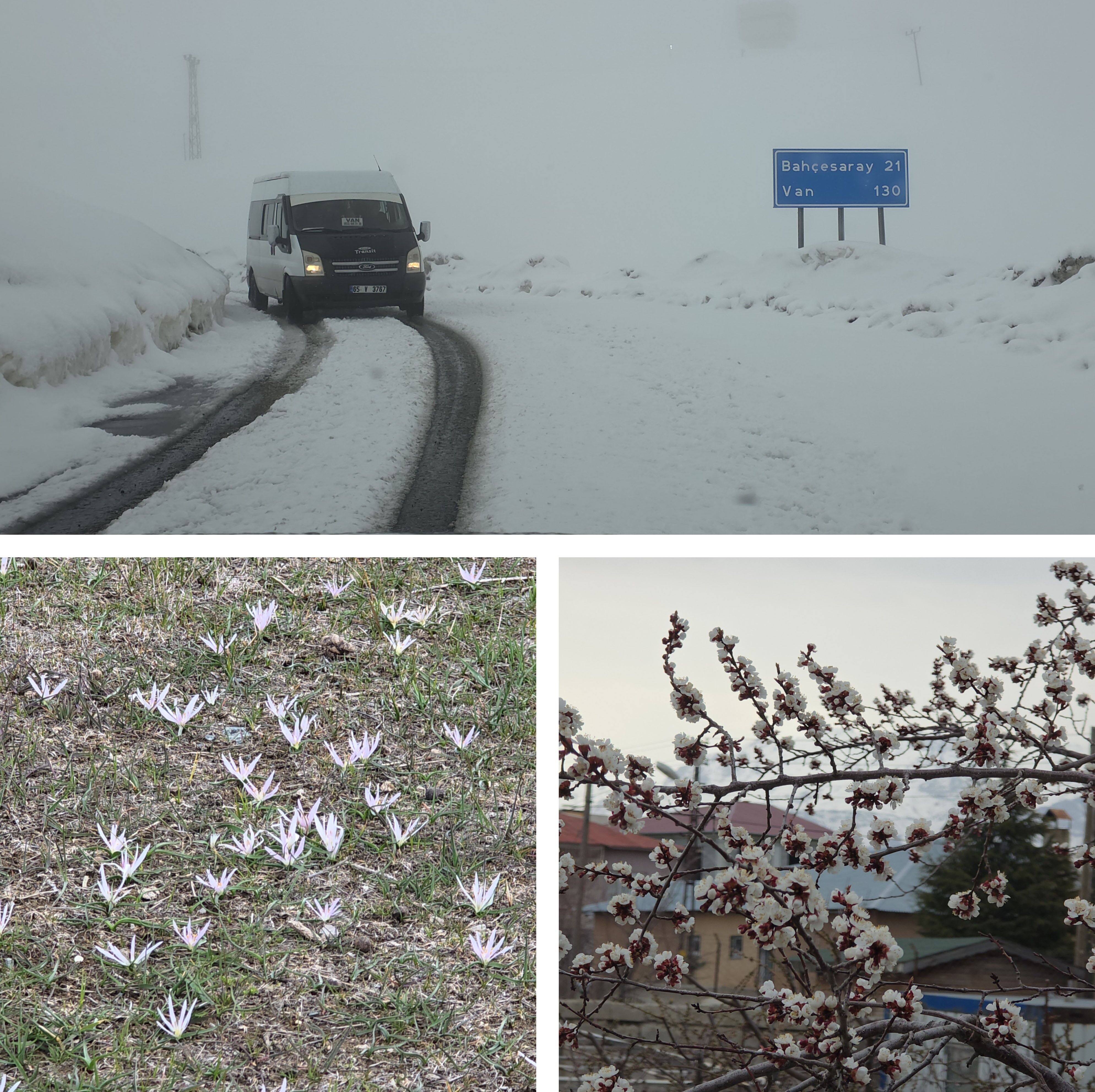 Van’da mevsimler karıştı: Aynı ay, iki farklı mevsim tek karede!