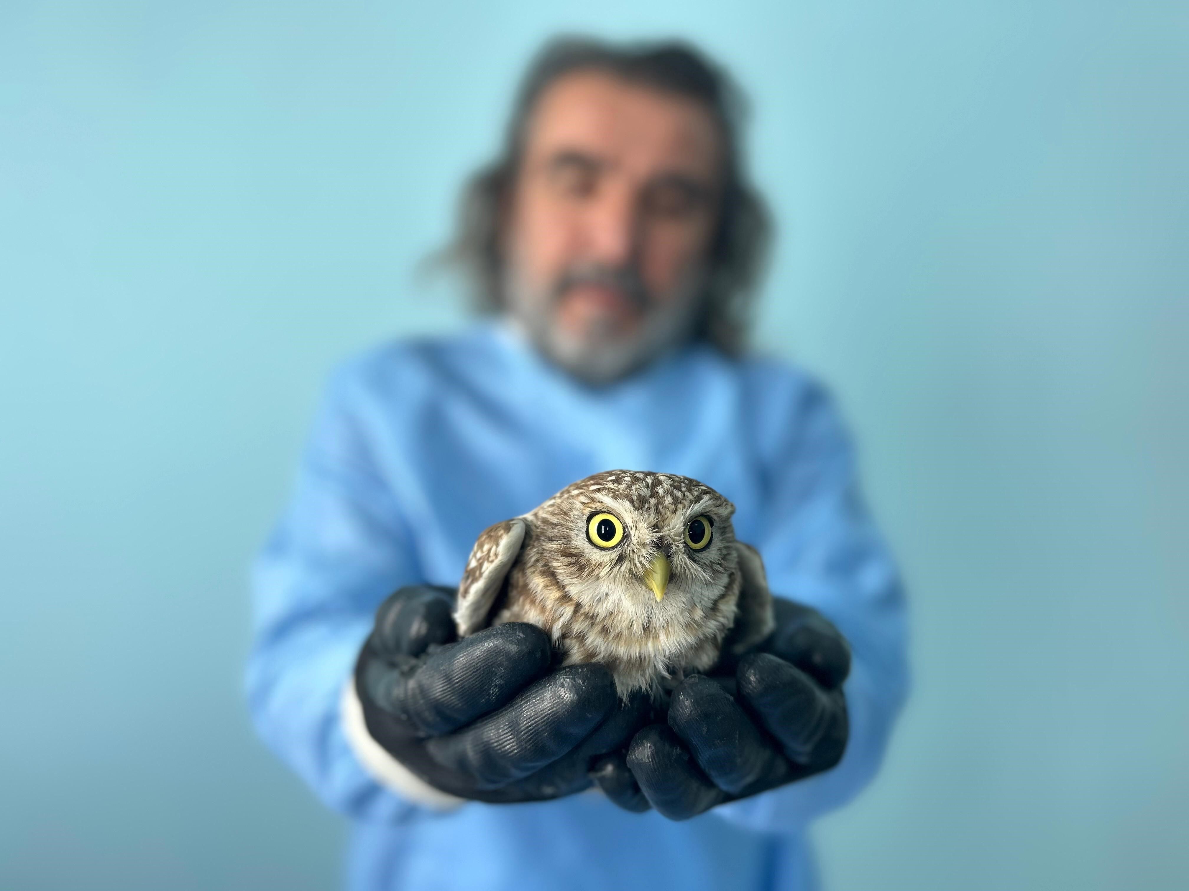 Van YYÜ yaban hayatı merkezi: Bölgenin "şifa kapısı" doğayı iyileştiriyor!