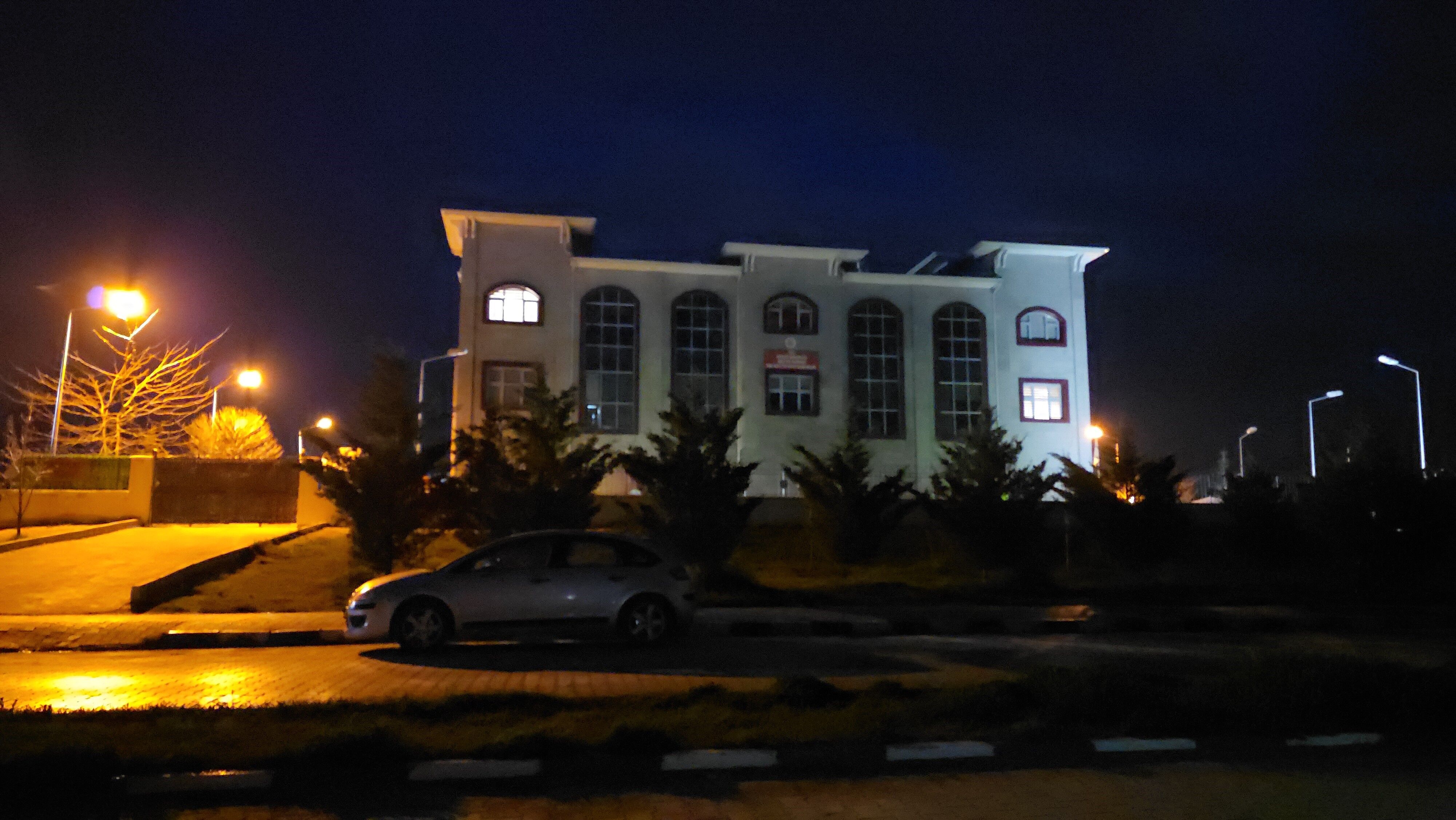 Van’da köpek saldırısında ölen çocuğun cenazesi Adli Tıp Kurumuna sevk edildi