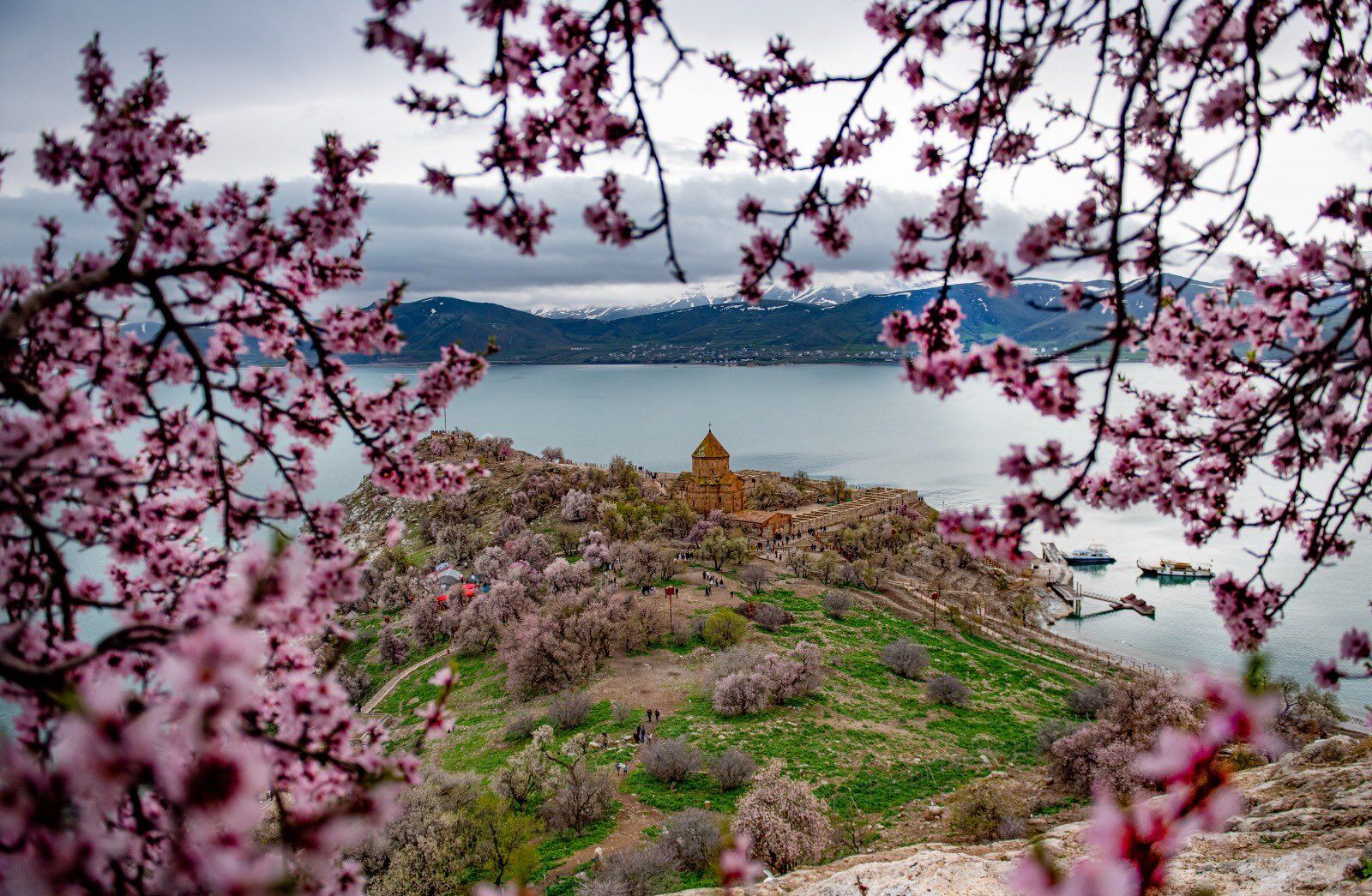Van’da ‘Foto Safari’ yarışmasının kazananları belli oldu! İşte kazanan isimler…