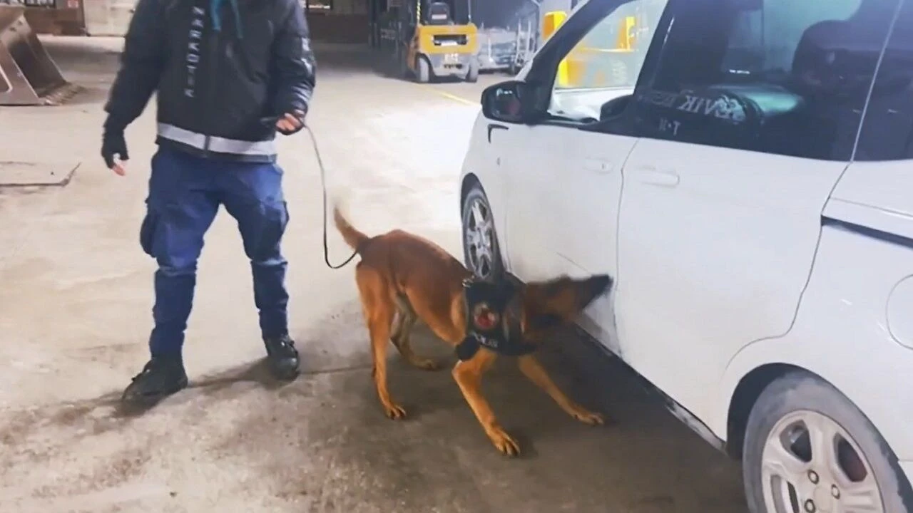 Van’da durdurulan araçta yüklü miktarda esrar çıktı!