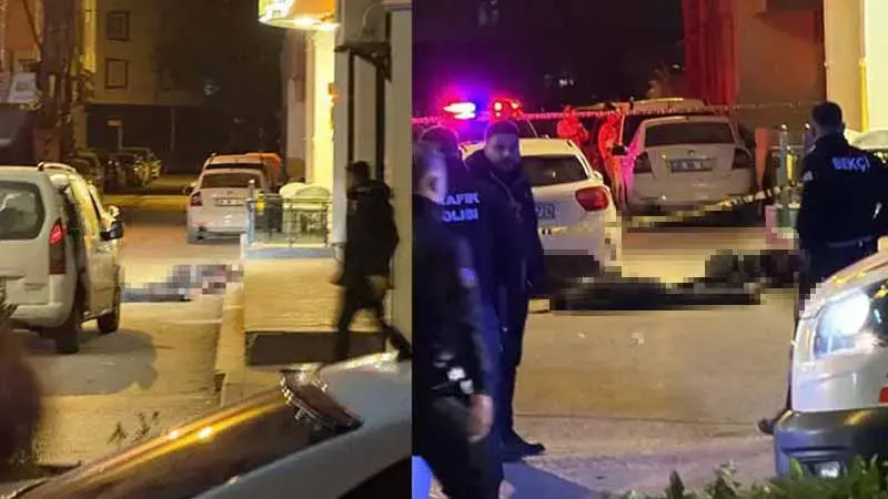 Van'da otel sahibi ve oğlunu öldüren avukat ve ağabeyi için istenen ceza belli oldu!