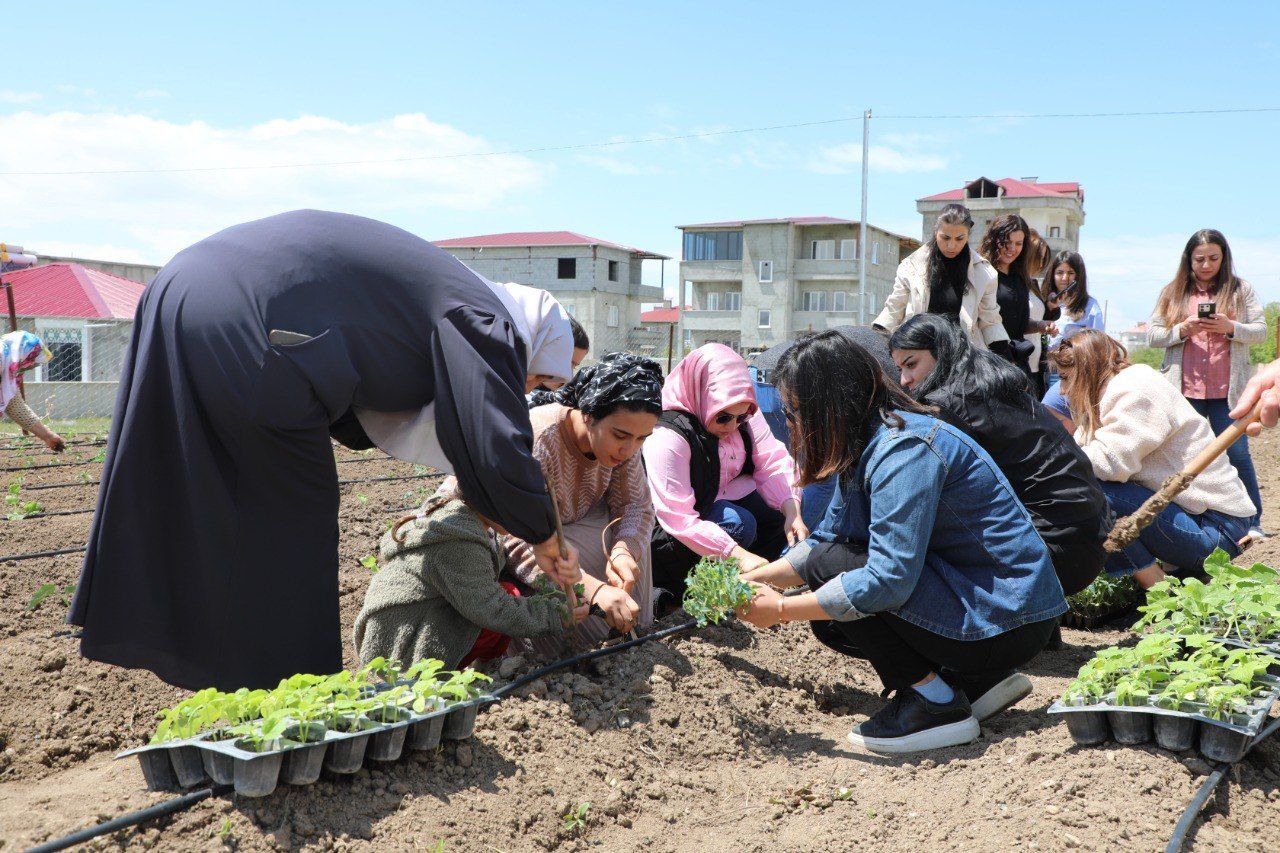Toprağın bereketi kadın emeğiyle buluştu: Tuşba'da bu yılın ilk fide ekimiyle yeni sezon başladı!