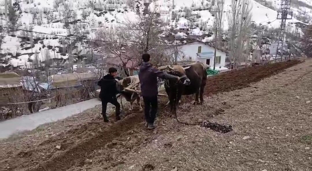 Van’da modern teknolojiye direnen gelenek: Bin yıllık miras yeniden hayat buldu!