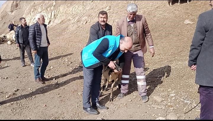 Van’da vatandaşlara doğru kurban nasıl kesilir etiğimi verildi!