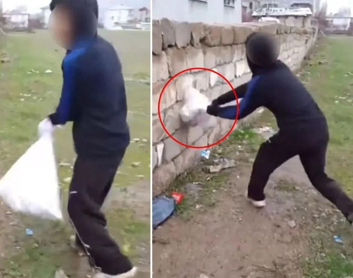 Van'da kan donduran görüntüler: Çuvala koydukları kediyi duvara vurup tekmelediler!