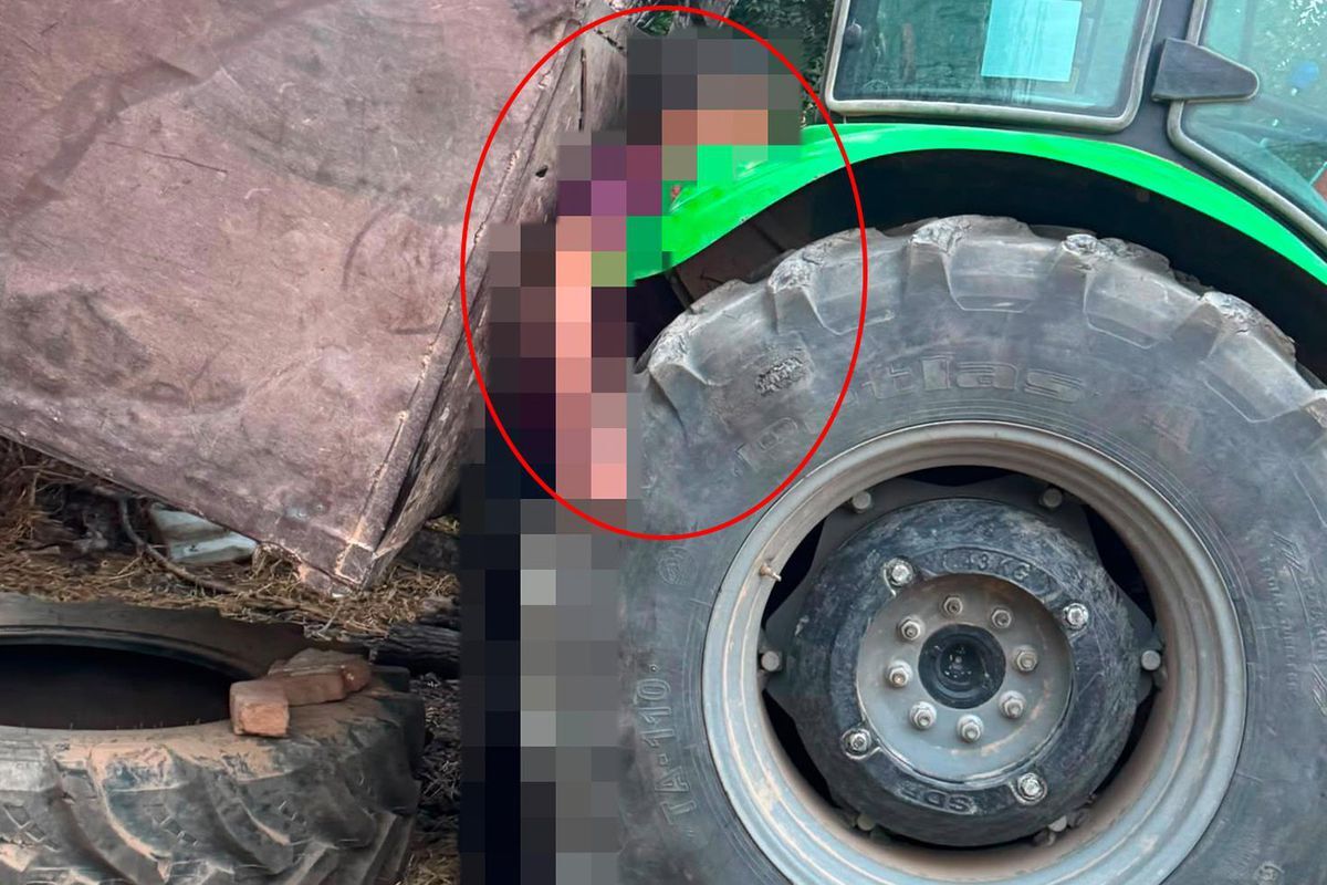 Orman işçisi traktör ile römorkun arasında sıkışarak feci şekilce can verdi!