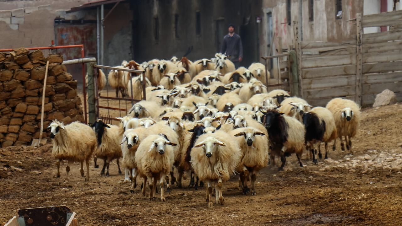 Van’da bu projeyi yapana 2 milyon faizsiz kredi verilecek!