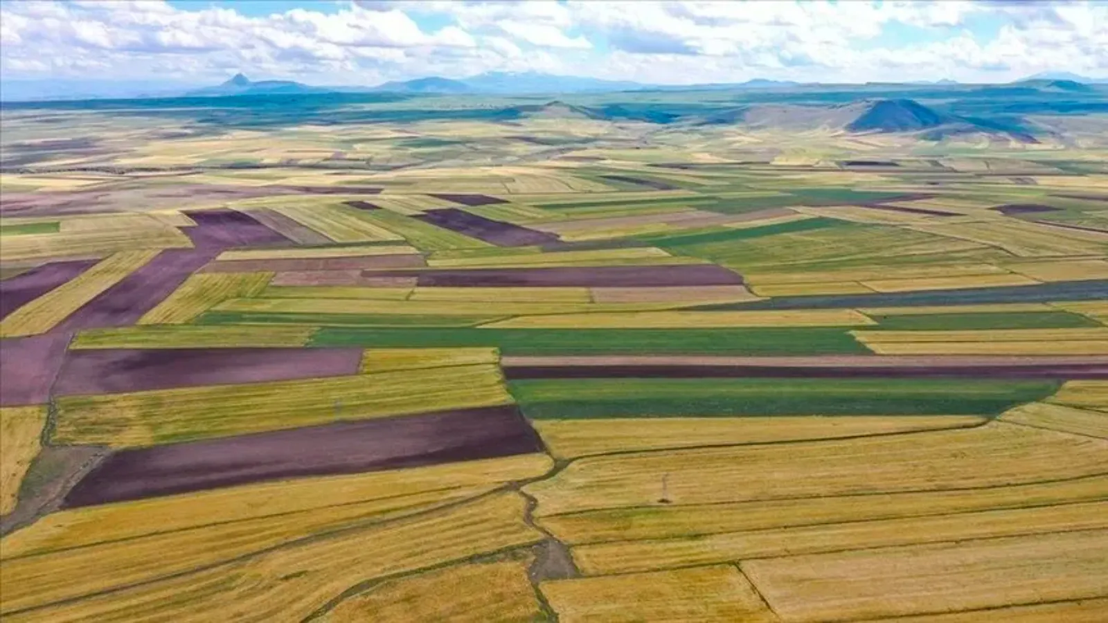 Van’da TOKİ arsa satışları başladı: İşte başvuru tarihleri ve fiyatları…