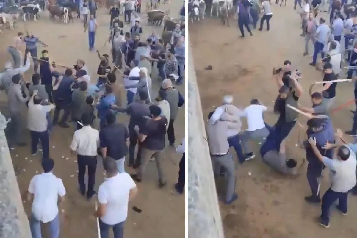 Canlı hayvan pazarında taşlı sopalı kavga: Çok sayıda yaralı var!