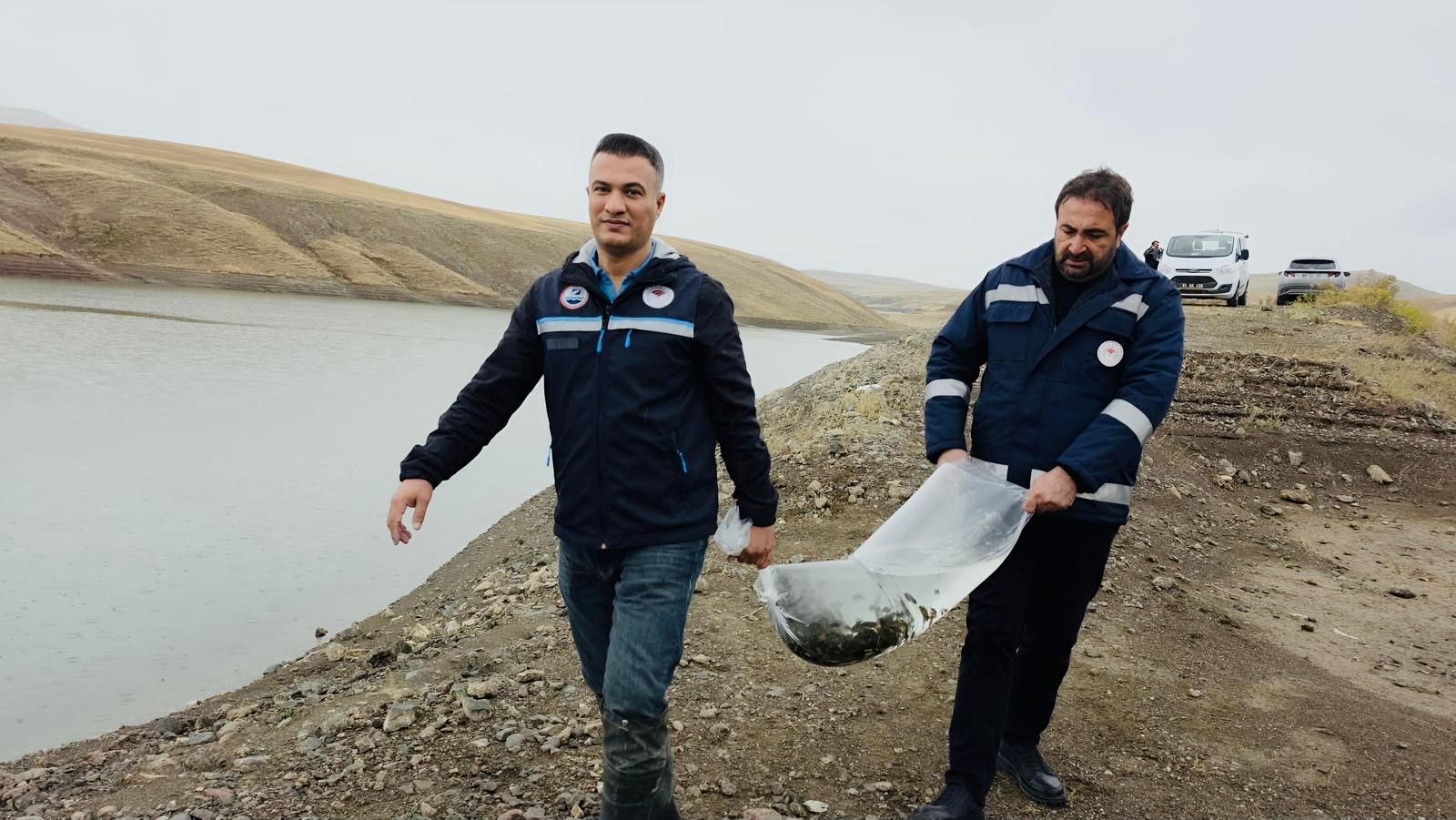 Van’da 8 su kaynağına binlerce yavru sazan bırakıldı!